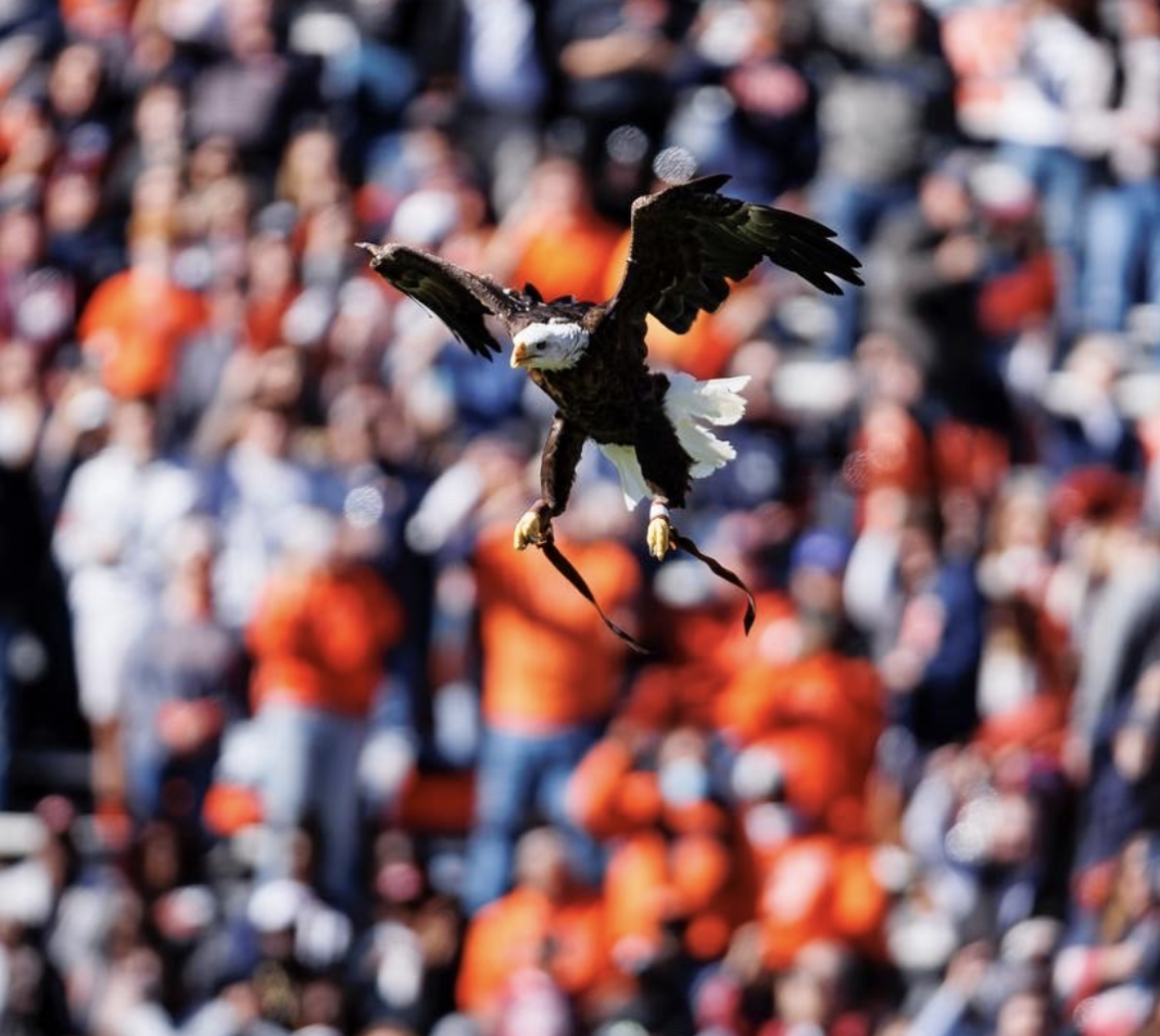 PHOTO: Auburn Athletics/Football